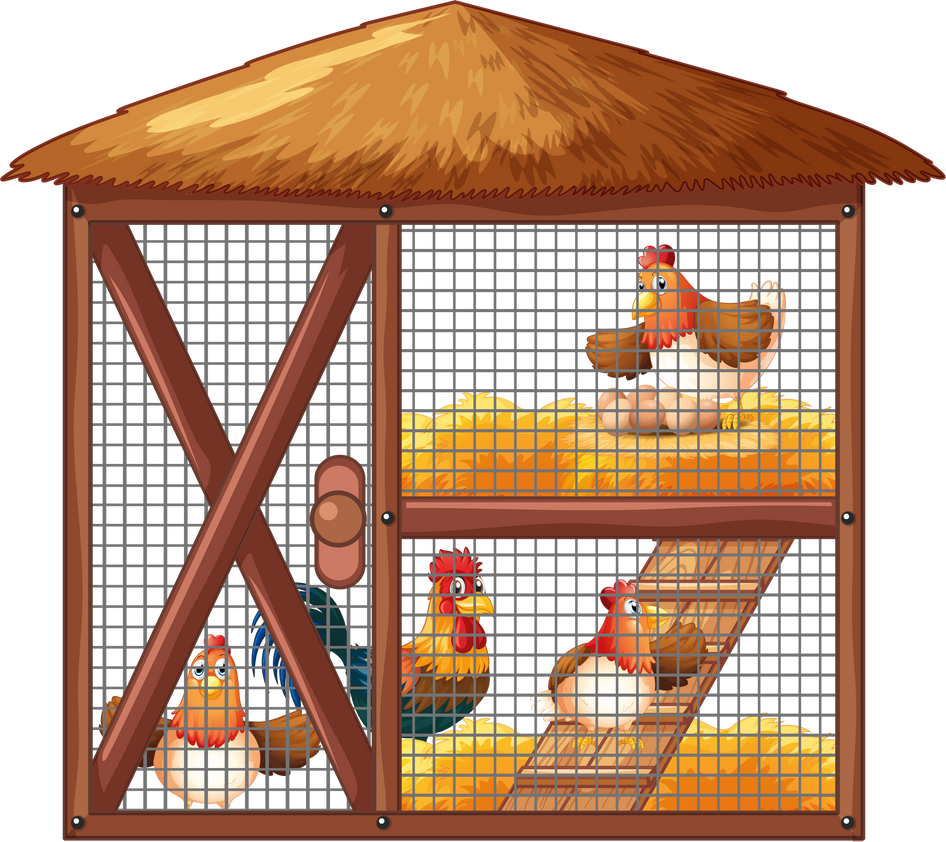 Chickens in chicken coop